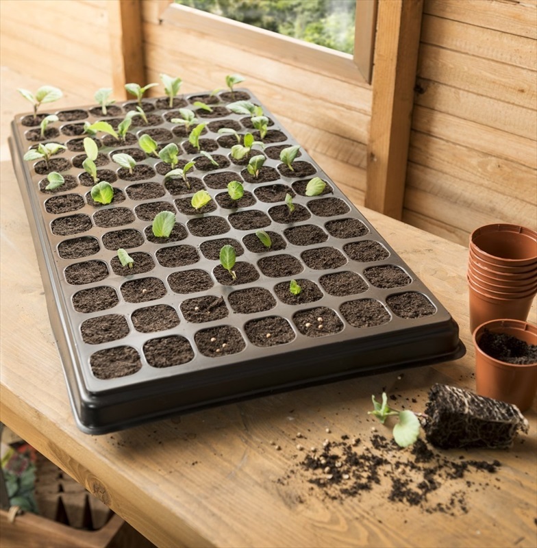 Jumbo Growing Kit 84 Cell Tray The Garden Factory